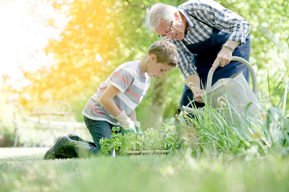 Grand-père et enfant qui jardinent