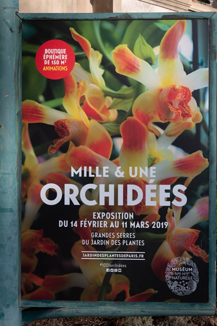 Orchidées Expo