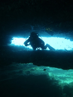 Plongée sous marine