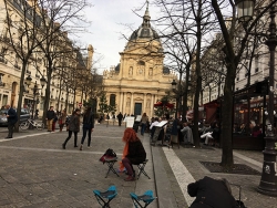 Paris et ses arbres