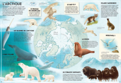 L'Atlas des Animaux