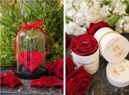 Roses Eternelle Lachaume