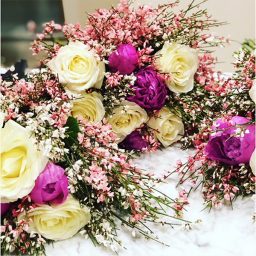 Roses maison Lachaume