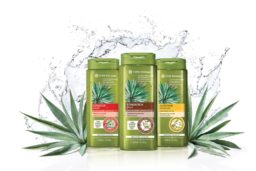 Shampooings Yves Rocher à l'Agave Bleue