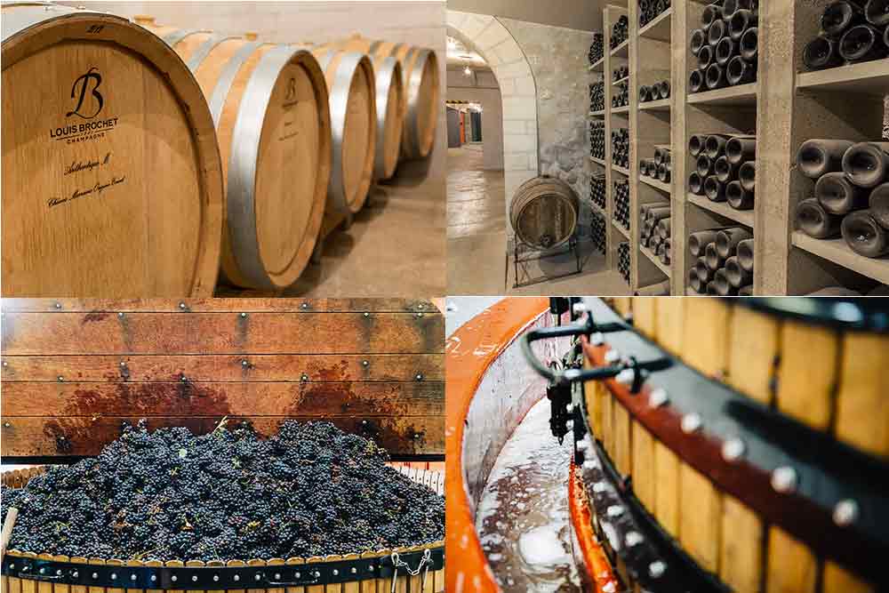 Champagne Louis Brochet : pétrissage du raisin, Fûts et bouteilles