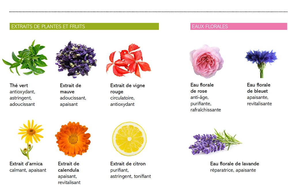 Extraits de Plantes et Fruits plus Eaux Florales : Une belle harmonie d'ingrédients végétaux