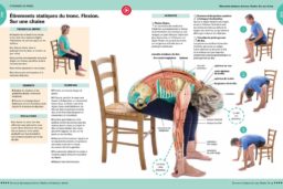 Etirements statiques du tronc et flexion sur une chaise.