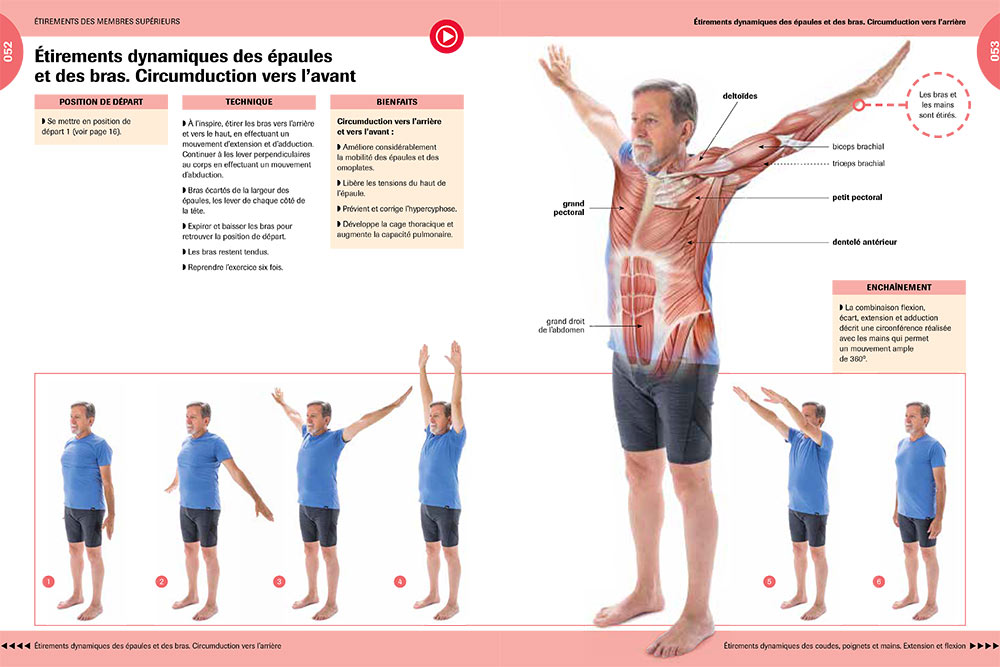 Gymnastique - Etirements dynamiques des épaules et des bras.