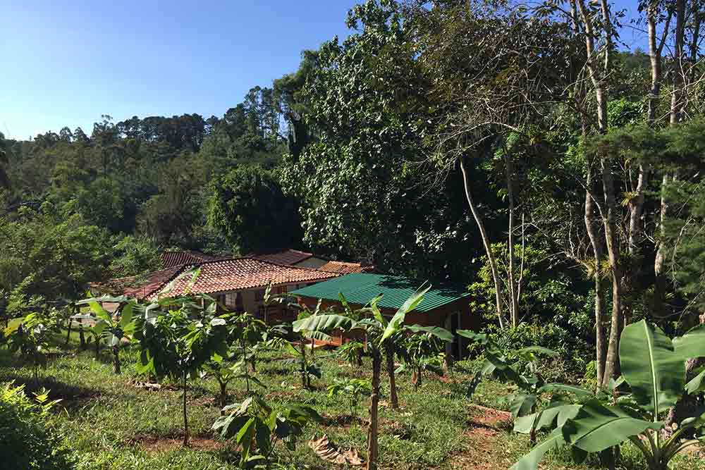 La Maison du cacao et sa petite plantation