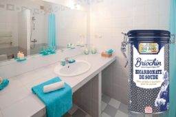 Bicarbonate de soude pour nettoyer, désinfecter et désodoriser