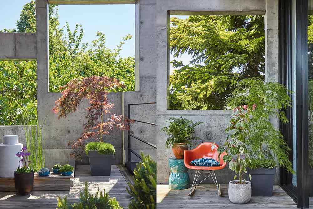 Oasis - urbaine pour mettre de la verdure chez vous