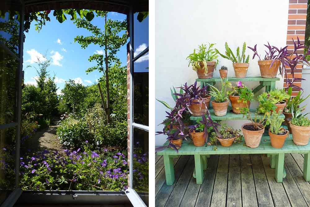 Le jardin depuis la fenêtre de la cuisine et petites plantes en pot
