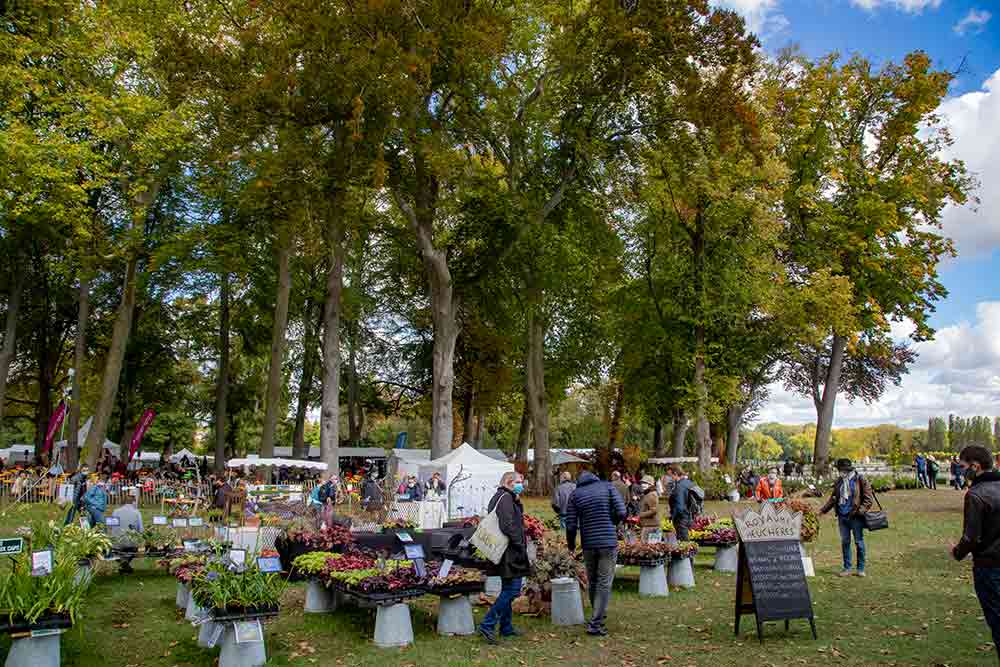 Les plantes sont à l'honneur dans les jardins du Château de Chantilly