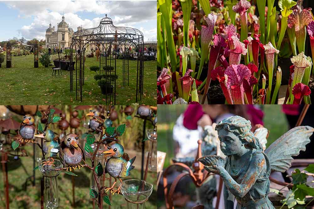 Les plantes sont à l'honneur dans les jardins du Château de Chantilly
