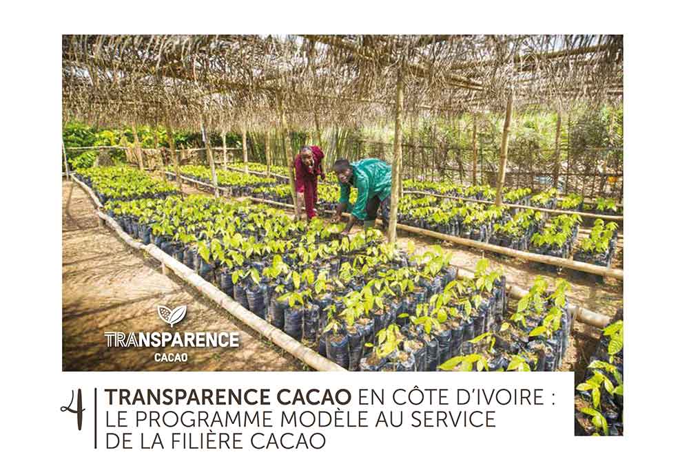 Programme modèle en Côte d'Ivoire pour la filière Cacao