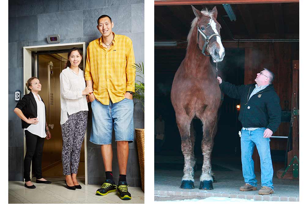 Le Guinness World Records - Le plus grand couple marié (p.76). Elle mesure 1,87 m et lui 2,36 mètres. Le plus grand cheval (p.62).