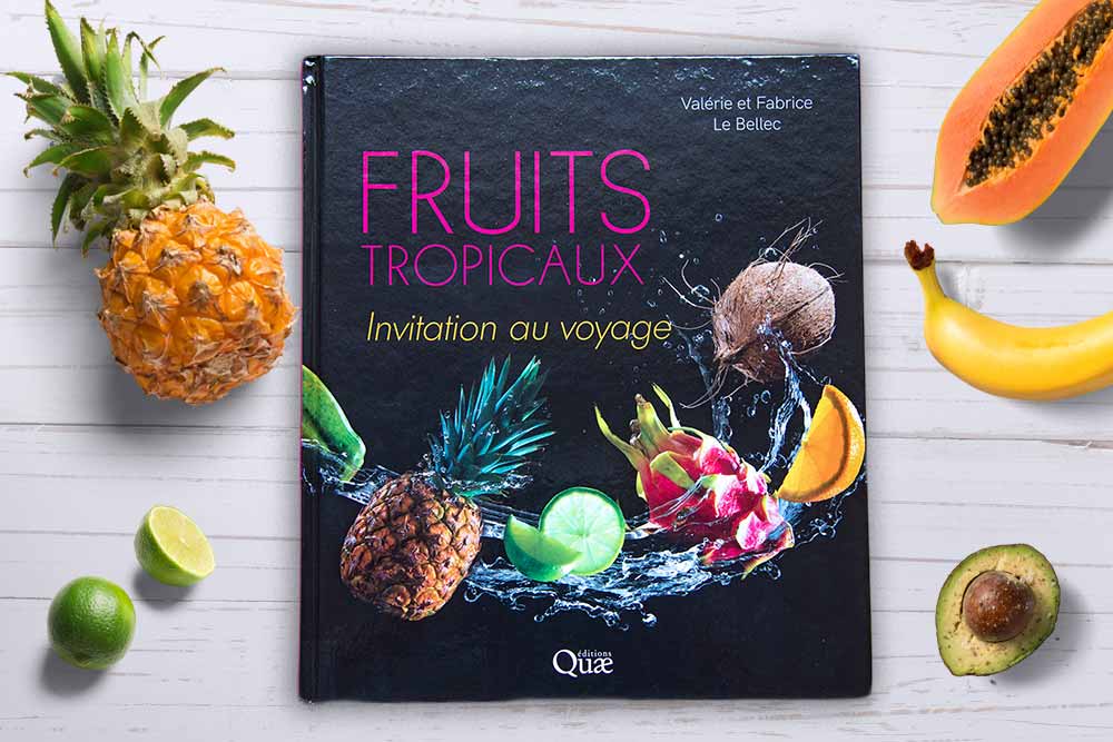 Fruits tropicaux, Invitation au voyage
