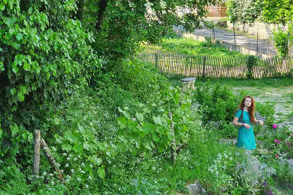 Un jardin luxuriant