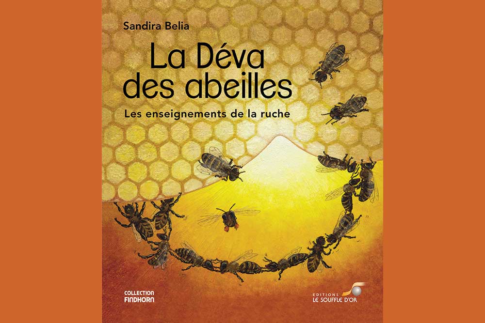 La Déva des abeilles - un livre passionnant sur la vie des abeilles