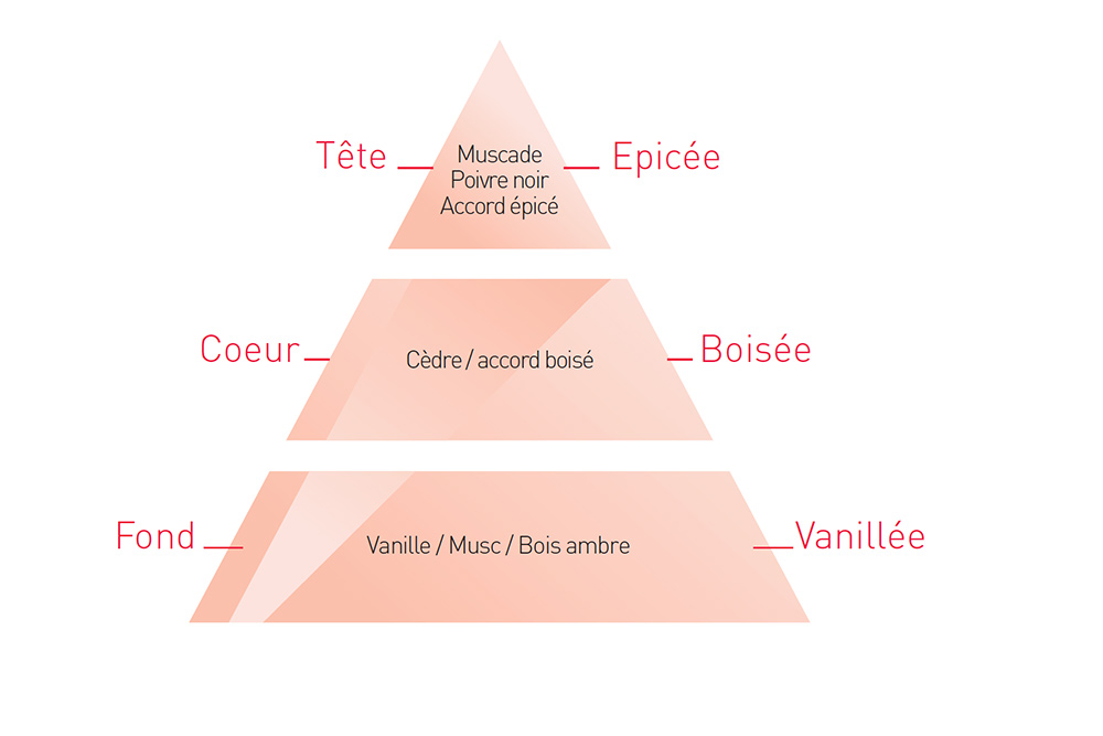 Pyramide olfactive «Black Vanilla & Peper »