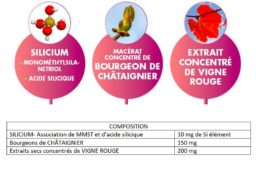 Siligemme  Circulation 