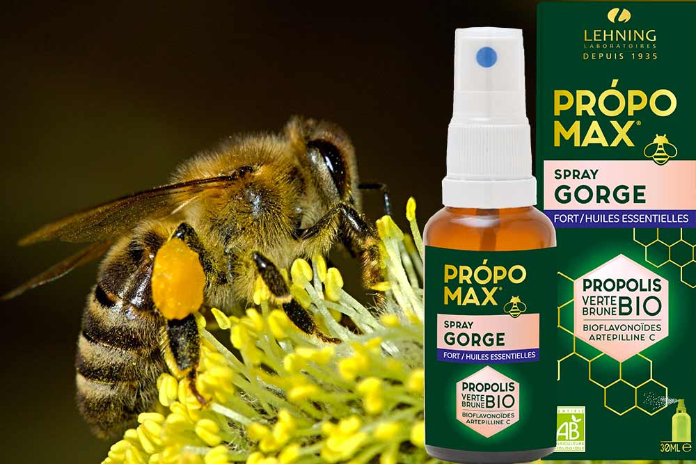 Própomax Spray Fort aux huiles essentielles