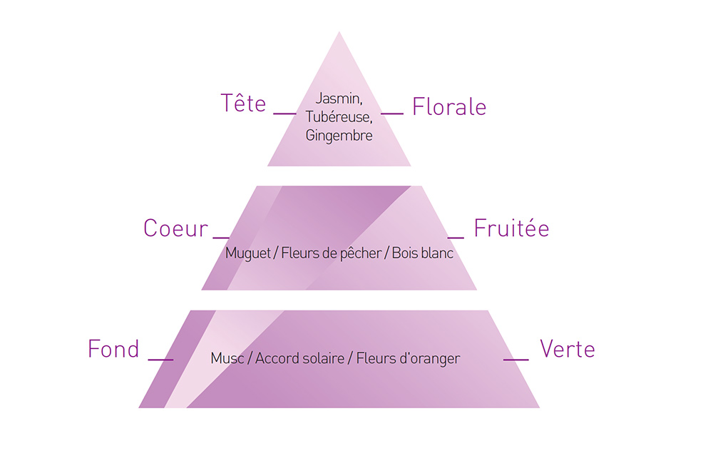 Pyramide olfactive «Jasmin »