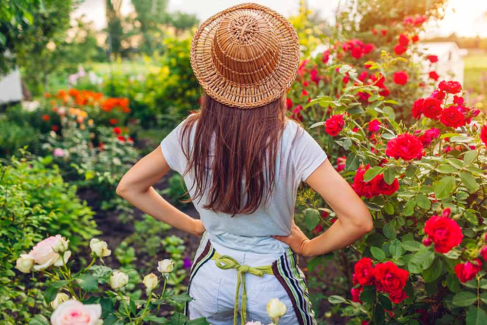 Vive le jardinage et le plaisir d'admirer ses plantations