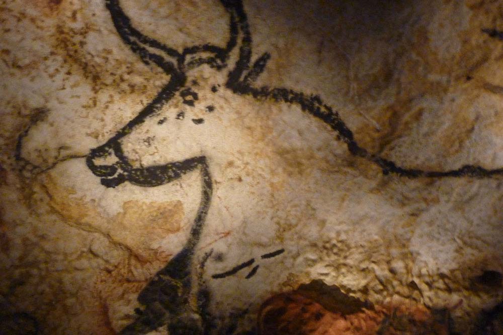 Périgord Noir - Grotte de Lascaux IV Représentation de taureau