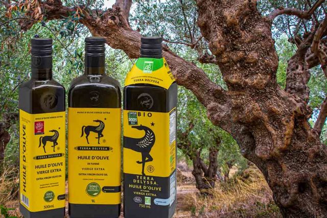 Huile d'Olive Extra Vierge Bio – Terroirs du Liban - EU