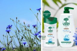 Douche Purifiante Micellaire a l'Eau Florale de Bleuet