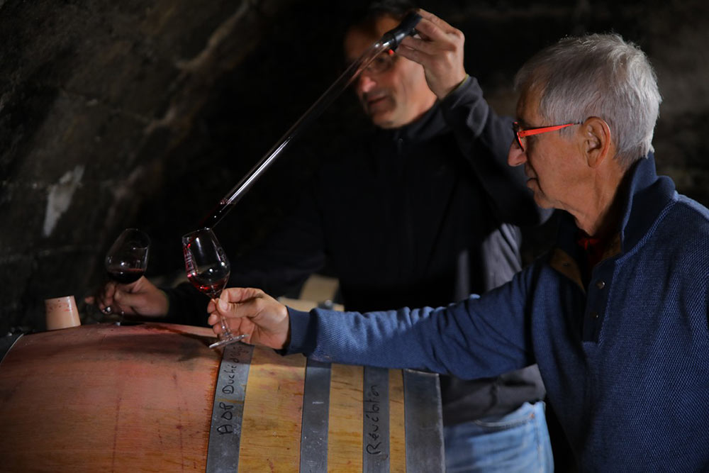 Domaine Saint Firmin - des vins qui se savourent avec gourmandise