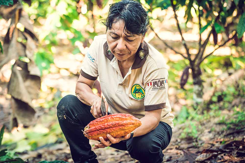 Kaoka - Une productrice de Fèves de Cacao
