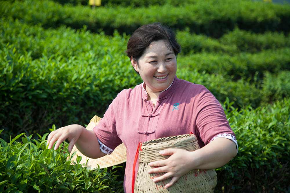 Liu Li, Cultivatrice de thé vert pour Jardin BiO étic® en Chine