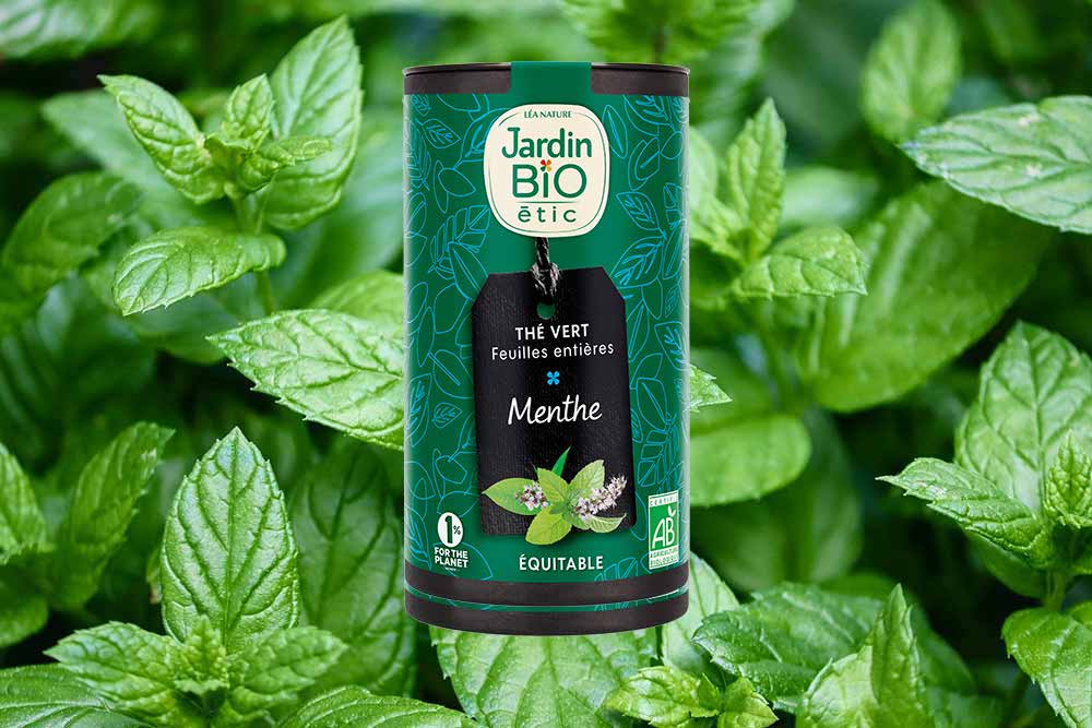 Thé vert avec des feuilles de menthe