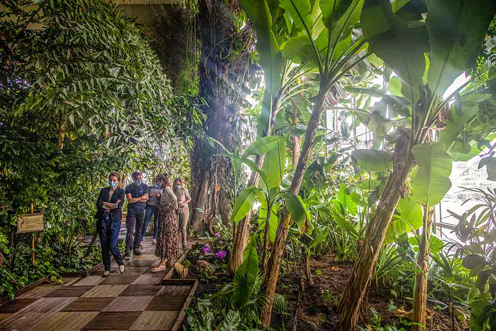Aquarium - Passage dans la forêt tropicale !
