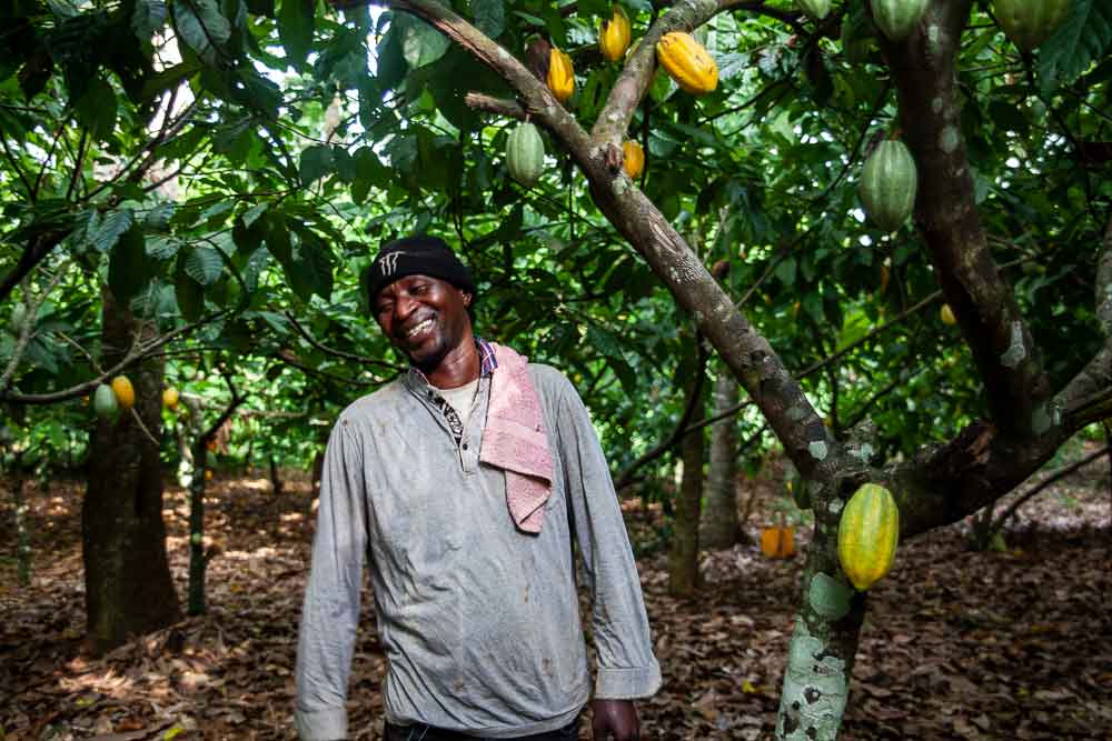 Solidar'Monde - culture de cacaoyers 