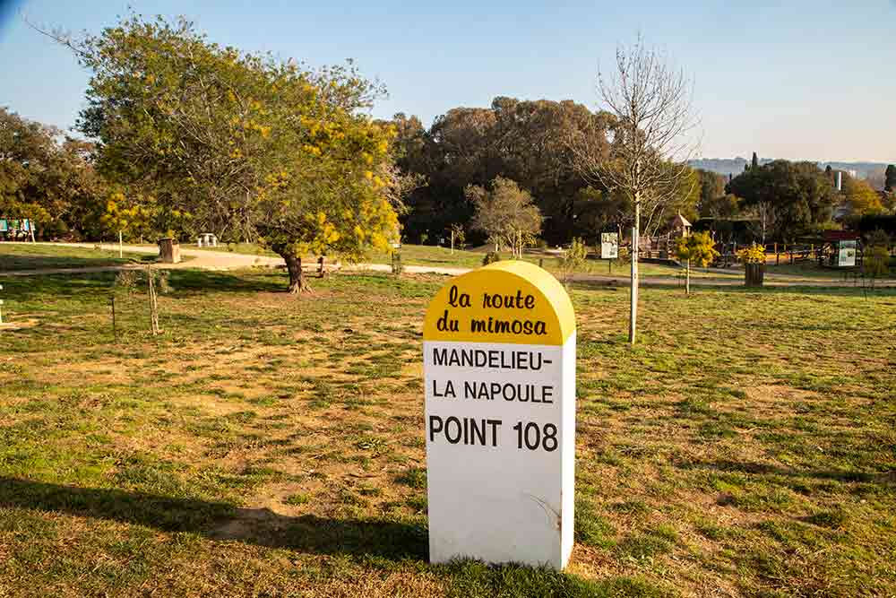 Mandelieu-La Napoule au kilomètre 108 de la Route du mimosa.