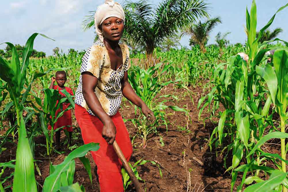 Au Togo, une mère et son fils dans un champ