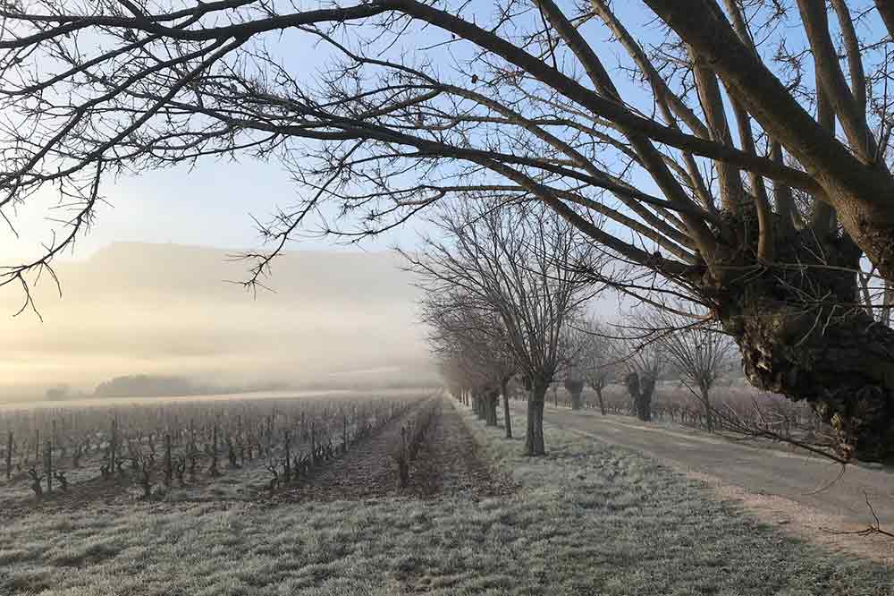 Paysage hivernal en Provence