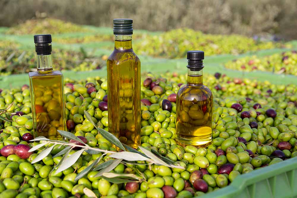 Looking for the Perfect Food - des olives d'une qualité exceptionnelles