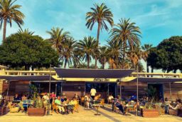 Bar à Cocktails : Le mythique Harry’s Bar s'installe à Cannes sur le Port Canto