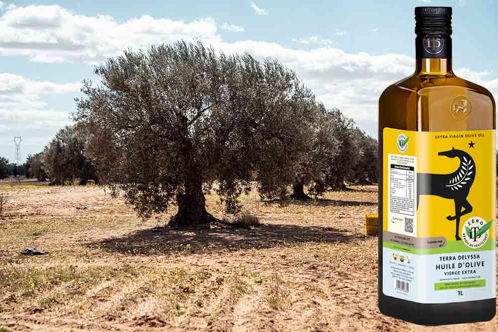 Un nouveau look pour l’huile d’olive TD ZRP
