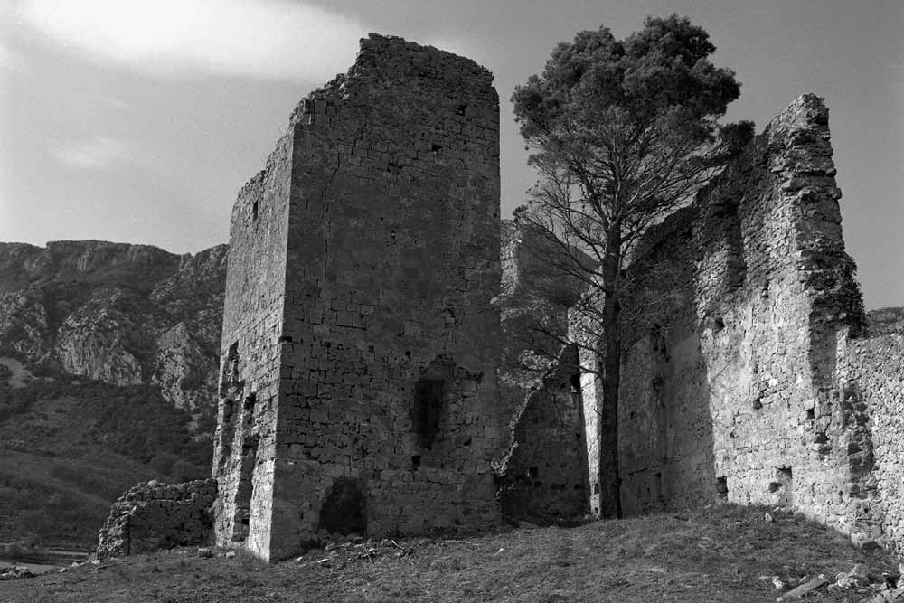 1989 Toute la surface du château était enfouie sous plusieurs mètres de remblais et de végétation, l’arbre en témoigne