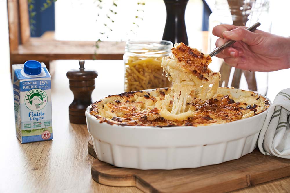 Gratin de Macaroni à la Crème de Brebis