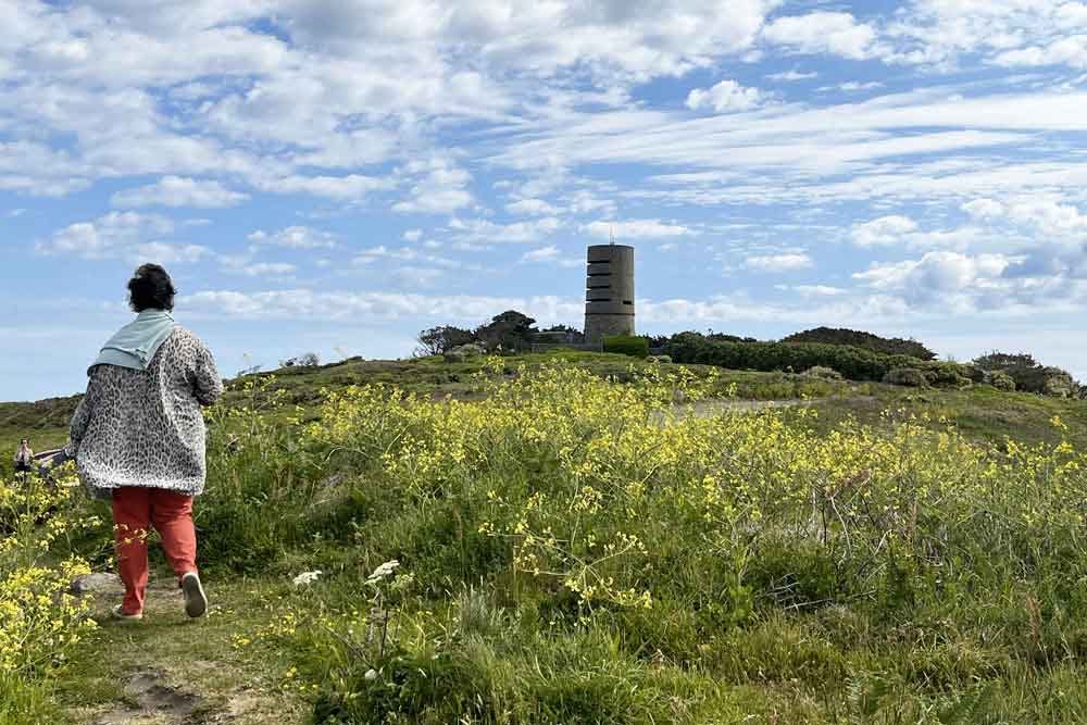 Guernesay - La lande fleurie avec, au fond, une « batterie » (poste d’observation) (Guernesey