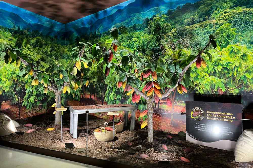 Mise en scène expliquant l’histoire du cacao (Musée du chocolat)