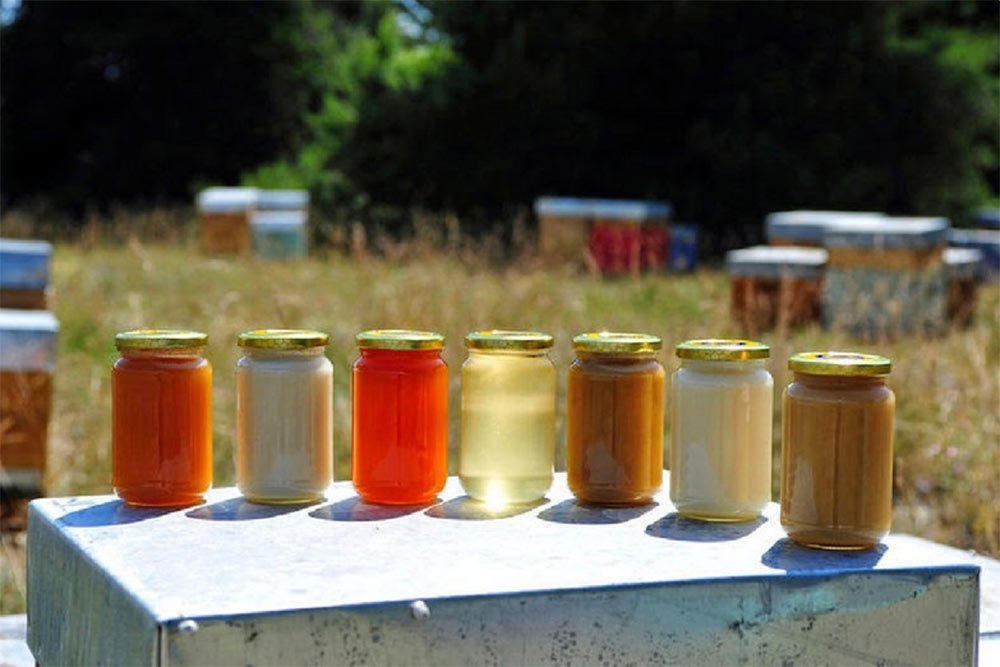Miellats - des miels rares et tellement bons