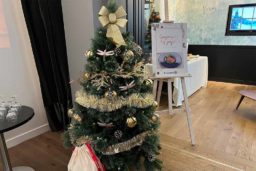 Sapin de noël E. Leclerc