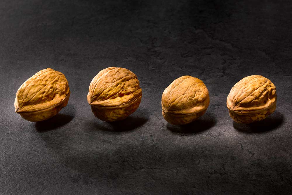 Les quatre variétés des noix du Périgord